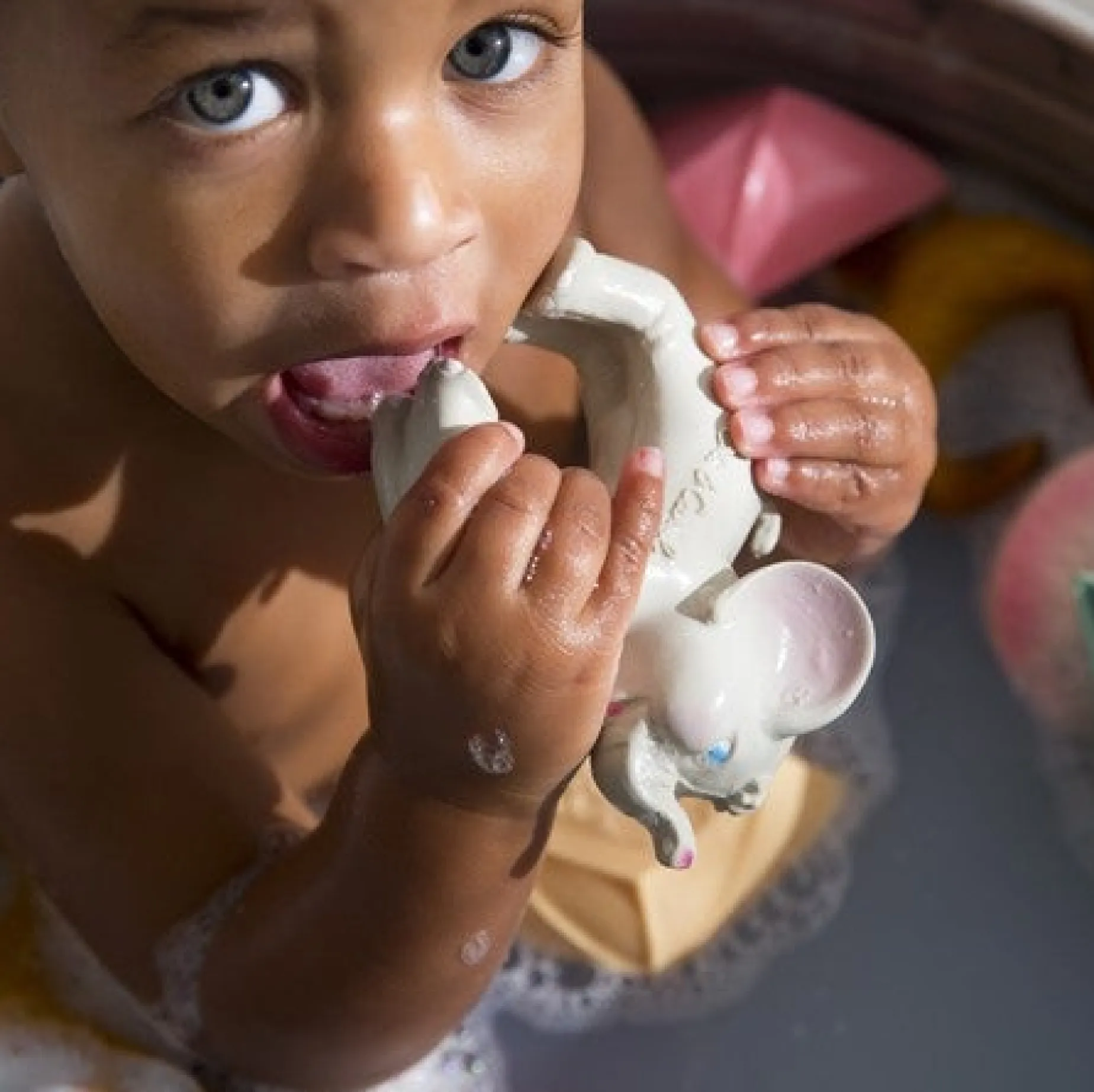 Poudre Organic Peluches & Jouets | BRACELET DE DENTITION ELEPHANT • OLI & CAROL