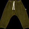 Poudre Organic Leggings & Pantalons | PANTALON CANNELLE VELOURS Fir Green FirGreen