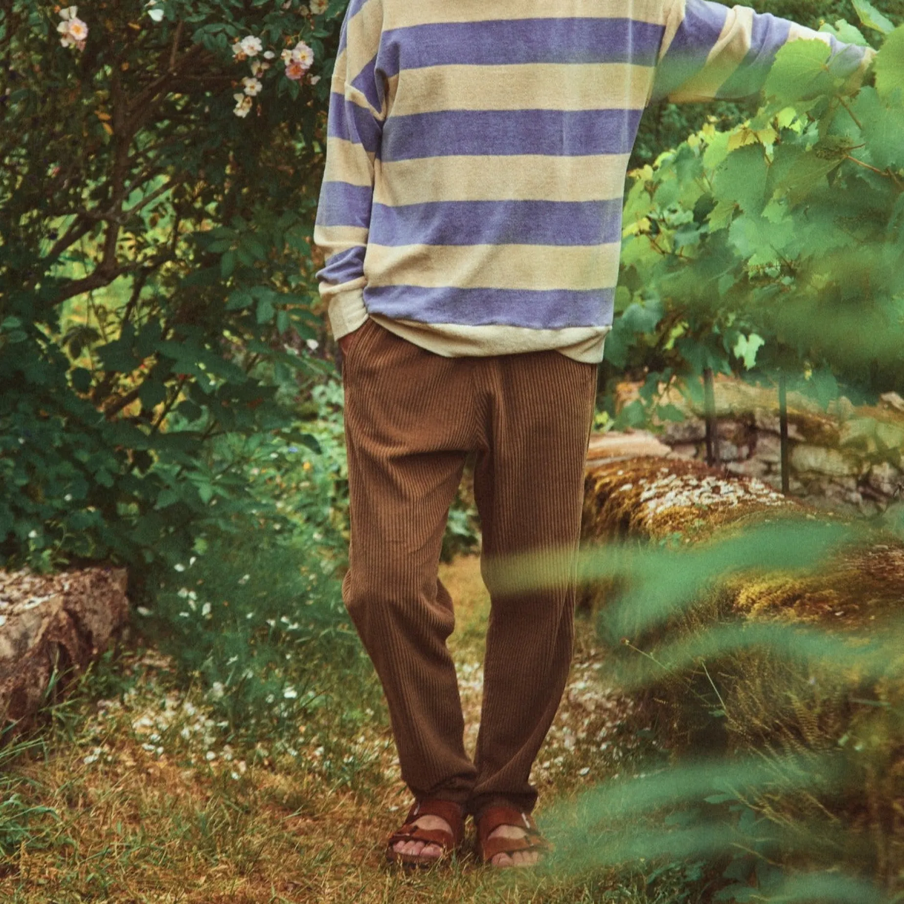 Poudre Organic Pantalons | Pantalons & Leggings | PANTALON COQUELICOT VELOURS CÔTELÉ Toffee