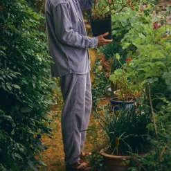 Poudre Organic Pantalons | Pantalons & Leggings | PANTALON COQUELICOT VELOURS CÔTELÉ Lavender Aura LavenderAura