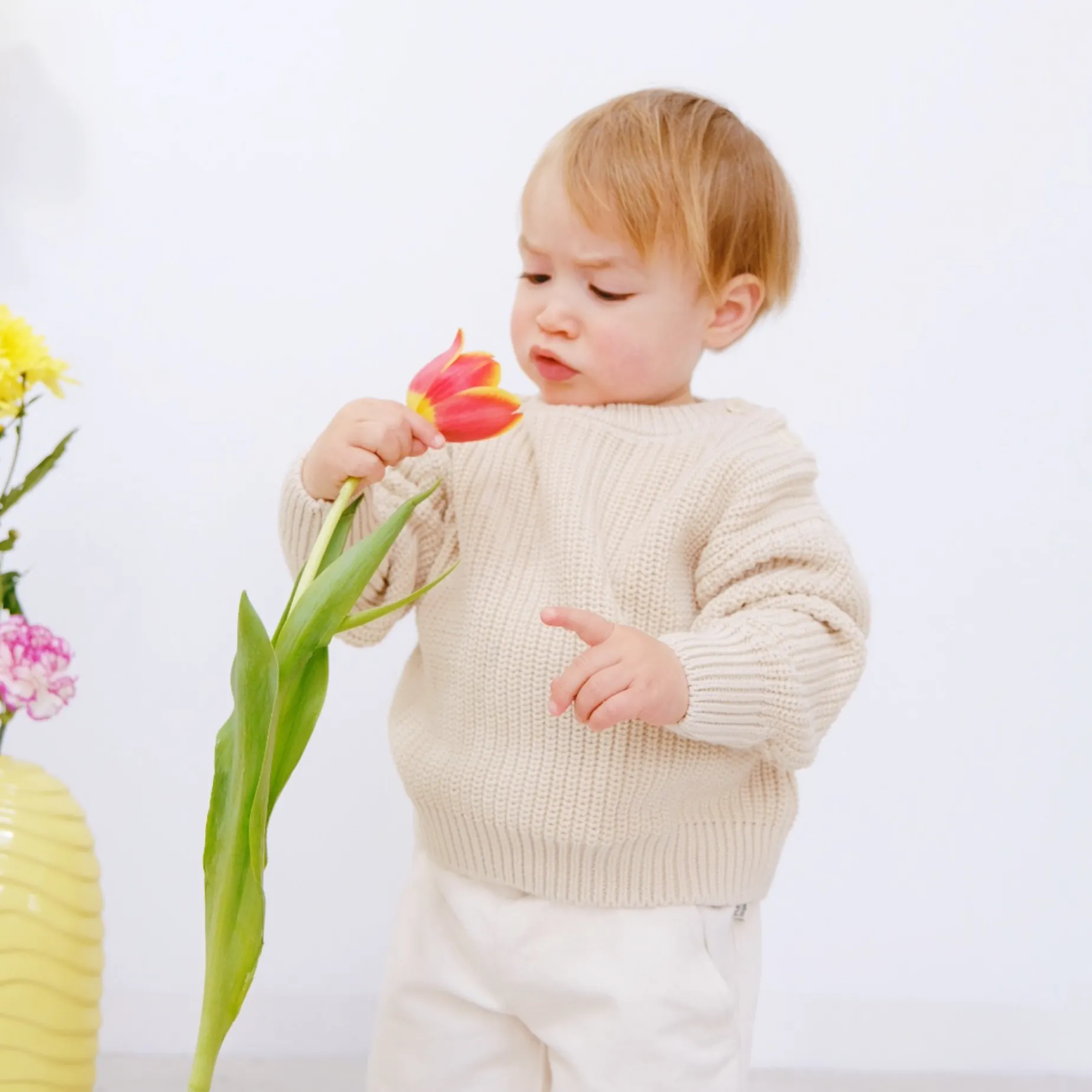 Poudre Organic Pulls | Pulls | PULL PISSENLIT COTON Almond Milk AlmondMilk