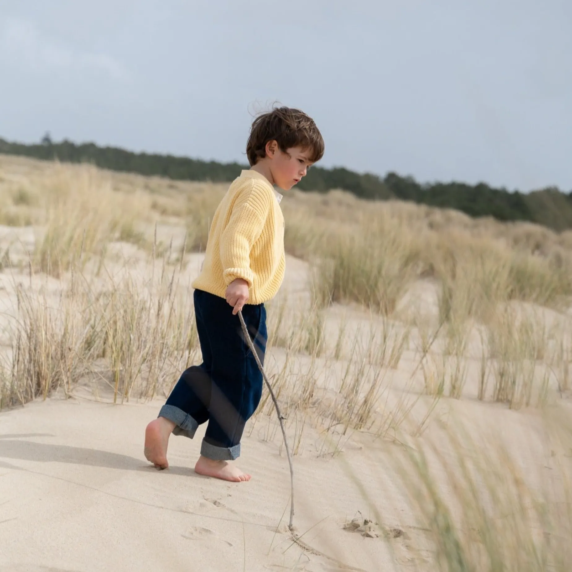 Poudre Organic Pulls | Pulls | PULL PISSENLIT COTON Jaune Pastel JaunePastel