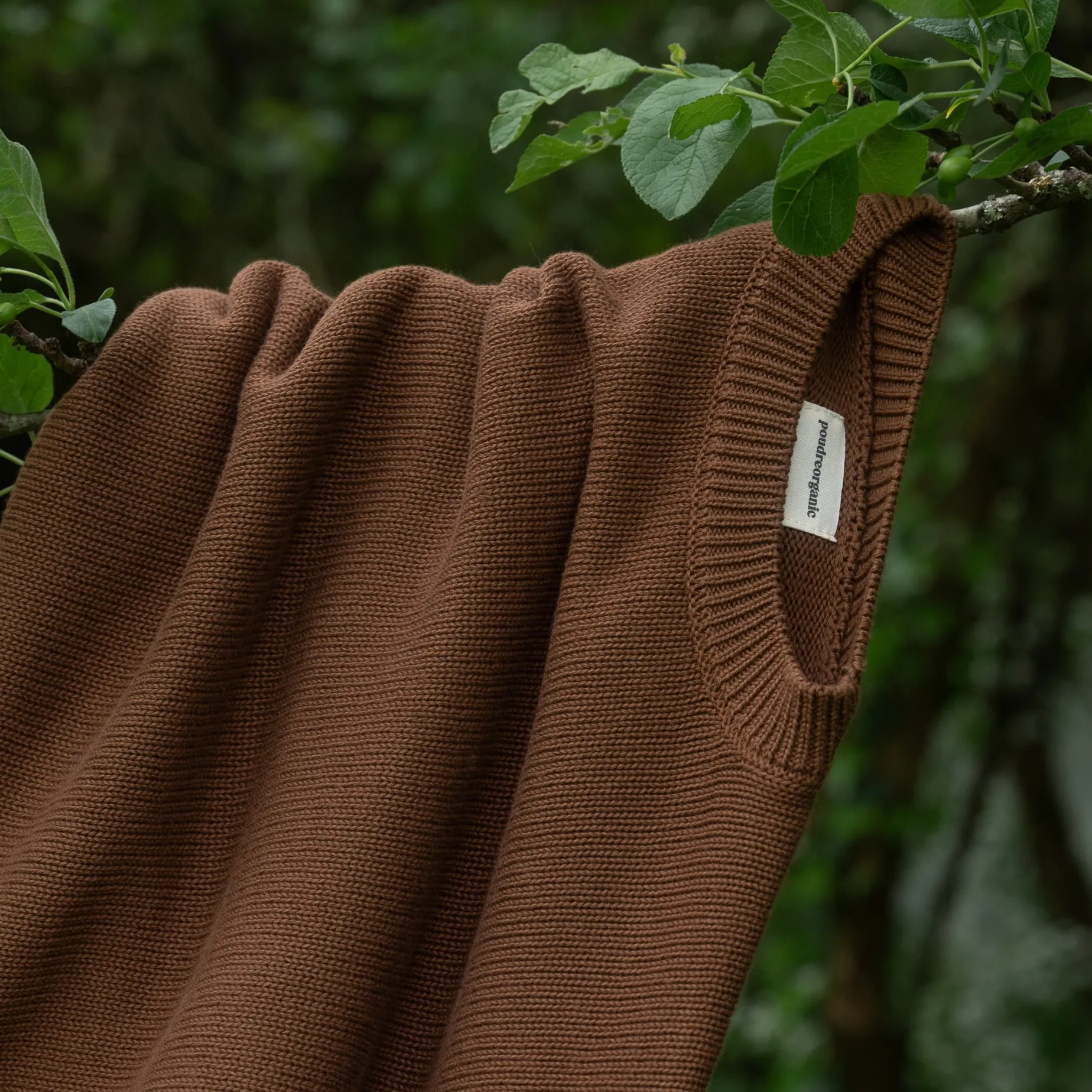 Poudre Organic Pulls | PULL THÉ Noisette