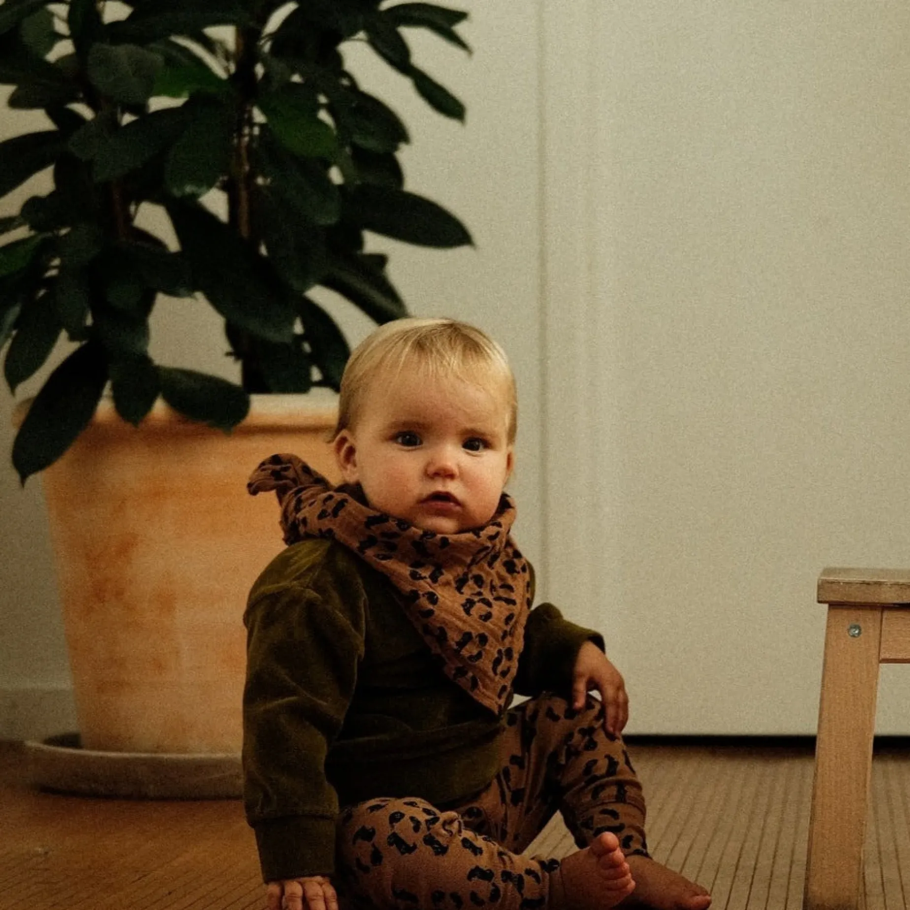 Poudre Organic Sweatshirts | Sweatshirts | SWEATSHIRT CASSANDRE VELOURS Fir Green FirGreen