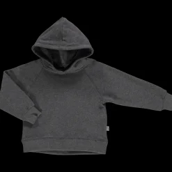 Poudre Organic Sweatshirts | Sweatshirts | SWEATSHIRT CITRON Anthracite