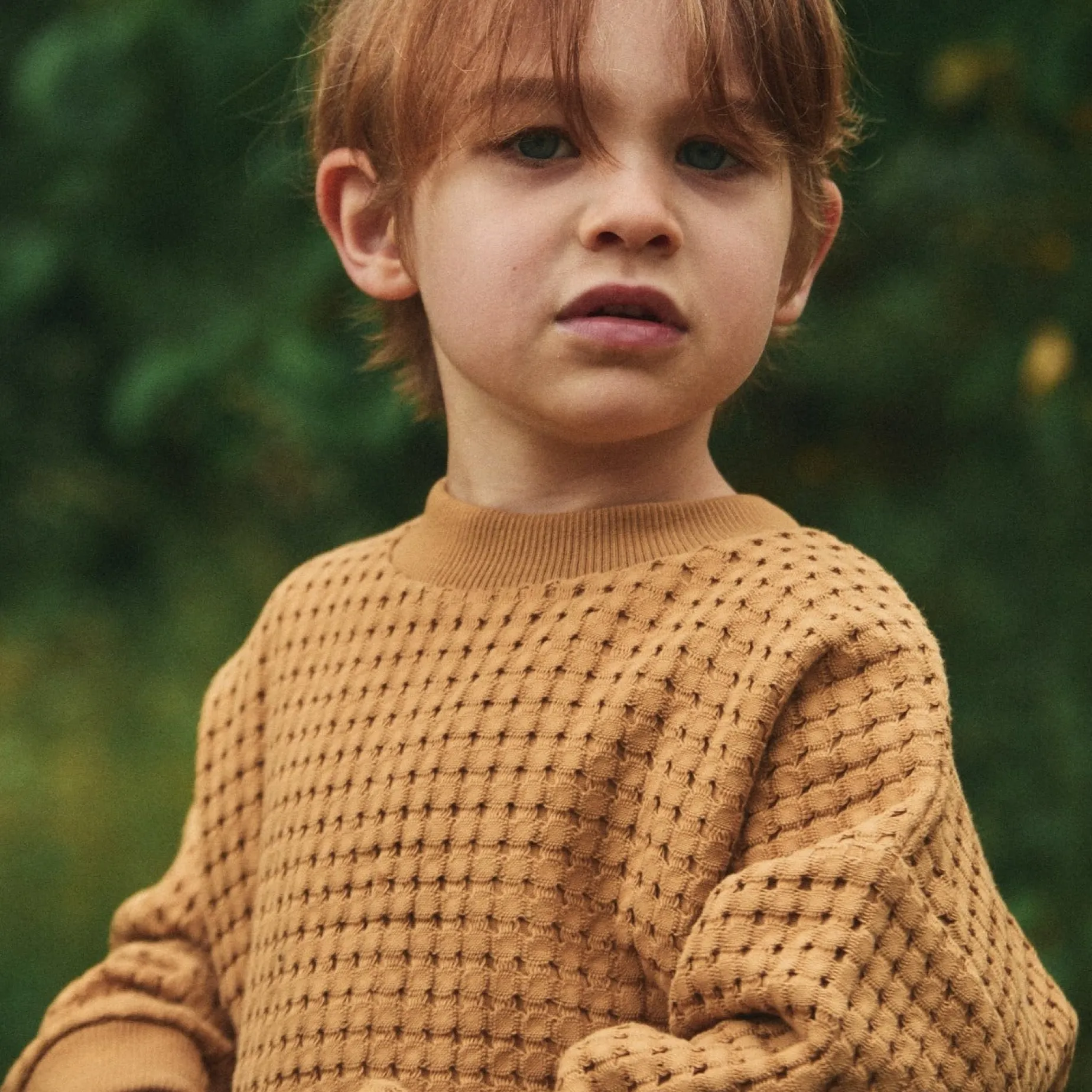 Poudre Organic Sweatshirts | SWEATSHIRT MACA Dijon