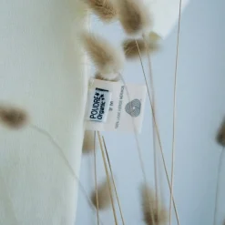Poudre Organic T-shirts & Débardeurs | T-shirts | T-SHIRT BEGONIA MÉRINOS Naturel