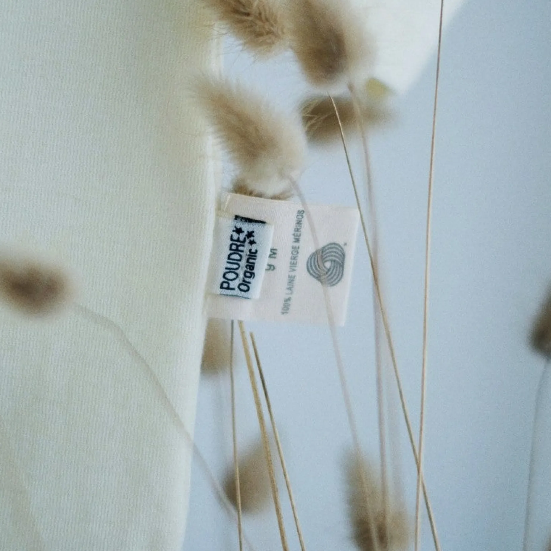Poudre Organic T-shirts & Débardeurs | T-shirts | T-SHIRT BEGONIA MÉRINOS Naturel