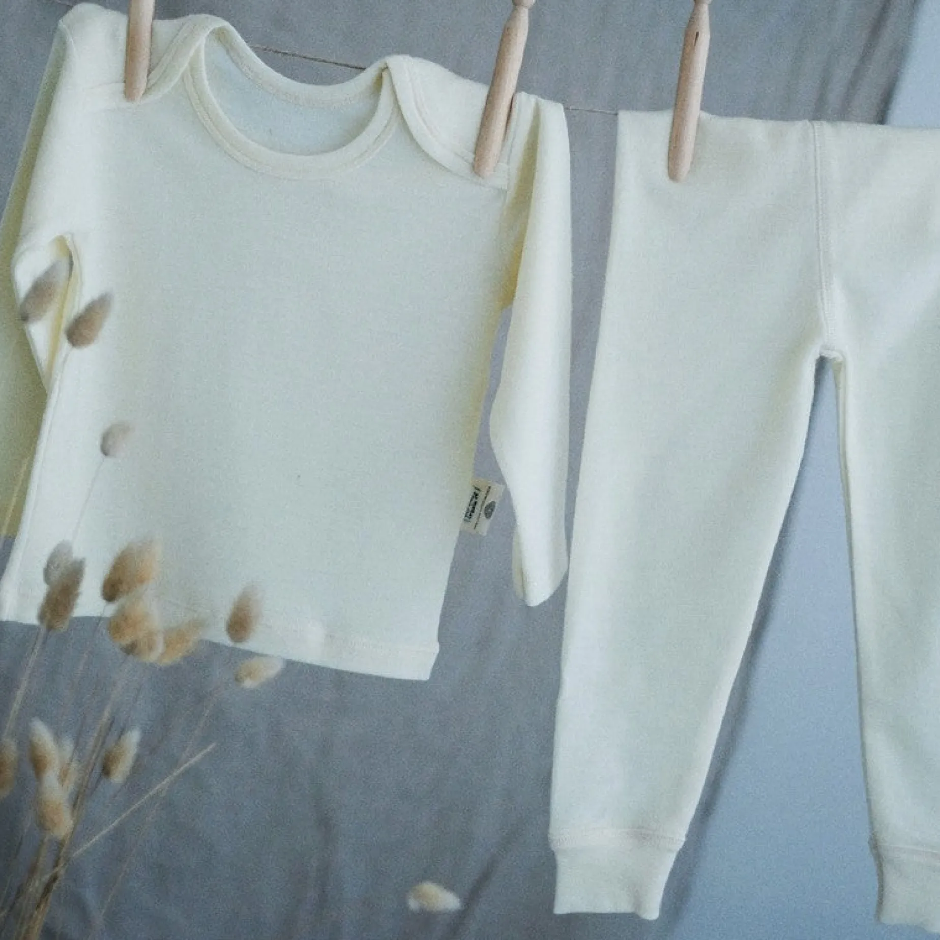 Poudre Organic T-shirts & Débardeurs | T-shirts | T-SHIRT BEGONIA MÉRINOS Naturel