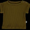 Poudre Organic T-shirts | T-SHIRT BOURRACHE CÔTELÉ Fir Green FirGreen